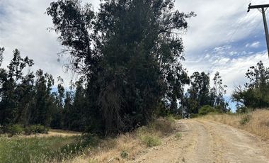 Parcela en Venta en SAN JUAN DE POPETA