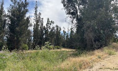 Parcela en Venta en SAN JUAN DE POPETA