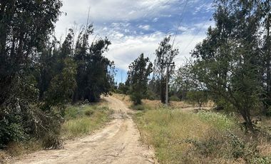 Parcela en Venta en SAN JUAN DE POPETA
