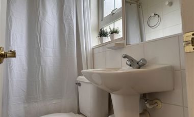 Casa en Arriendo en FARO LOS COLONOS