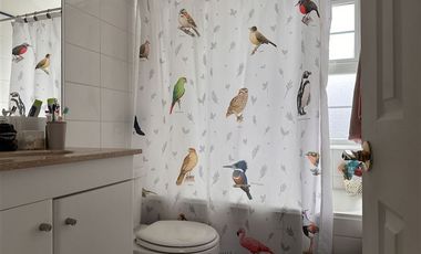 Casa en Arriendo en FARO LOS COLONOS