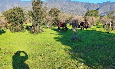 Parcela en Venta en CAMINO EL DIBUJO 100 , MELIPILLA