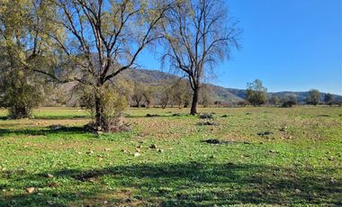 Parcela en Venta en CAMINO EL DIBUJO 100 , MELIPILLA