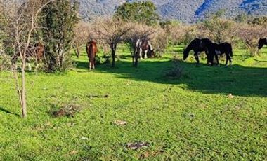 Parcela en Venta en CAMINO EL DIBUJO 100 , MELIPILLA