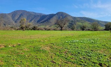 Parcela en Venta en CAMINO EL DIBUJO 100 , MELIPILLA