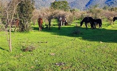 Parcela en Venta en CAMINO EL DIBUJO 100 , MELIPILLA