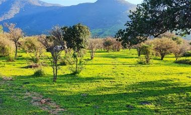 Parcela en Venta en CAMINO EL DIBUJO 100 , MELIPILLA