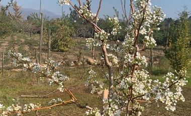 Casa en Venta en Los Almendros 30