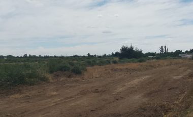 TERRENO PARA DESARROLLO INMOBILIARIO 31 HA