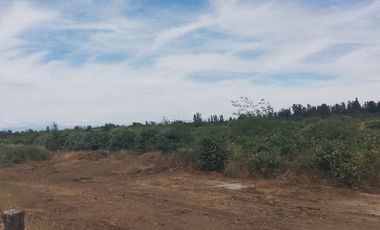 TERRENO PARA DESARROLLO INMOBILIARIO 31 HA