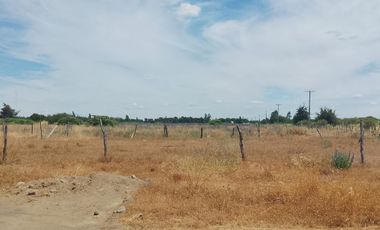 TERRENO PARA DESARROLLO INMOBILIARIO 31 HA