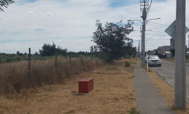 TERRENO PARA DESARROLLO INMOBILIARIO 31 HA