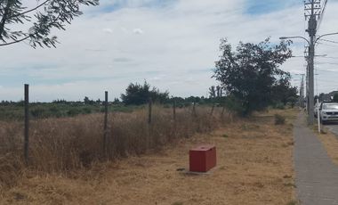 TERRENO PARA DESARROLLO INMOBILIARIO 31 HA