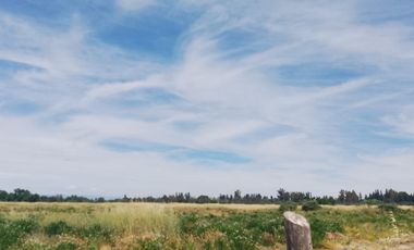 TERRENO PARA DESARROLLO INMOBILIARIO 31 HA