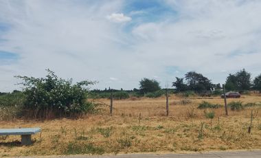 TERRENO PARA DESARROLLO INMOBILIARIO 31 HA