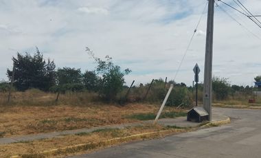 TERRENO PARA DESARROLLO INMOBILIARIO 31 HA