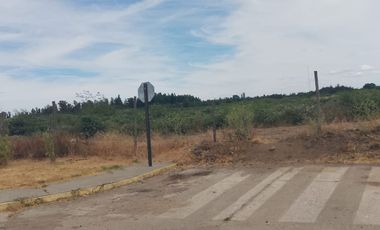 TERRENO PARA DESARROLLO INMOBILIARIO 31 HA