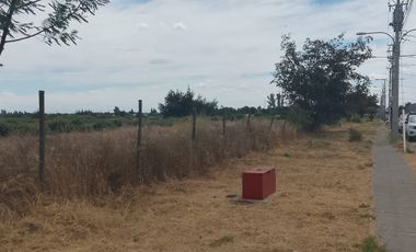 TERRENO PARA DESARROLLO INMOBILIARIO 31 HA