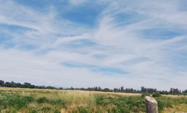 TERRENO PARA DESARROLLO INMOBILIARIO 31 HA