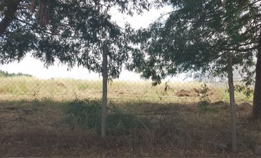 TERRENO PARA DESARROLLO INMOBILIARIO 31 HA