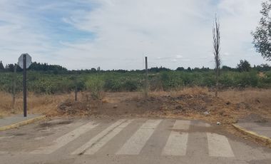 TERRENO PARA DESARROLLO INMOBILIARIO 31 HA