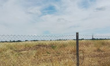 TERRENO PARA DESARROLLO INMOBILIARIO 31 HA