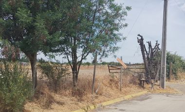 TERRENO PARA DESARROLLO INMOBILIARIO 31 HA