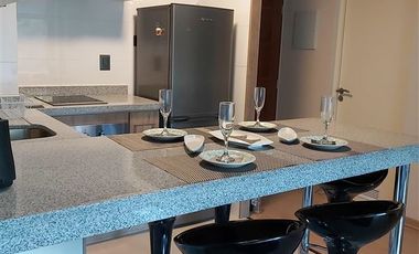 Departamento en Arriendo en Saturnino Epulef 955