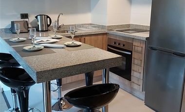 Departamento en Arriendo en Saturnino Epulef 955