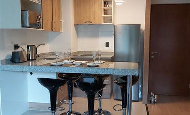 Departamento en Arriendo en Saturnino Epulef 955