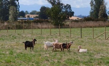 Parcela en Venta en L-55