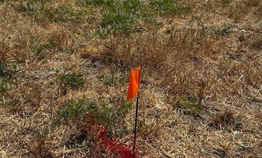 Parcela en Venta en L-55