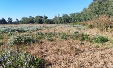 Parcela en Venta en L-55