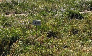 Parcela en Venta en L-55