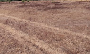 Parcela en Venta en terma de catillo