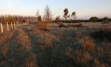 Parcela en Venta en terma de catillo