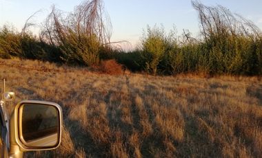 Parcela en Venta en terma de catillo