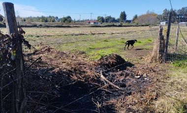Parcela en Venta en FUNDO LAS CABRAS