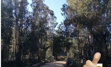 Parcela en Venta en rincon del sauce