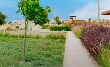 Terreno En La Alborada De Asia — 110.06 M²