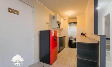 Departamento en Arriendo en Pedro León Gallo 1050