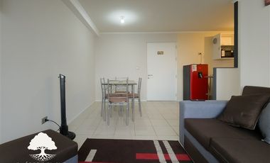 Departamento en Arriendo en Pedro León Gallo 1050
