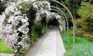 Casa en Venta en Venta Hermosa Casa Construcción Sólida, 5.000 m2 Terreno, El Manzano, San Jose de Maipo