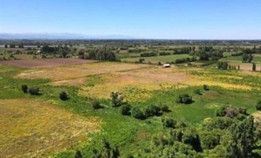 Parcela en Venta en https://maps.google.com/?q=-35.973755,-71.62----