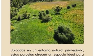 Parcela en Venta en https://maps.google.com/?q=-35.973755,-71.62----