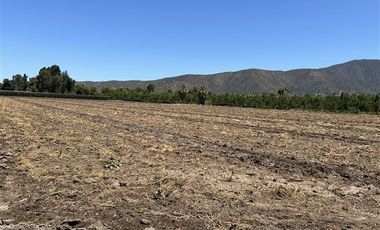 Parcela en Venta en Parcela 30 sector los Rulos
