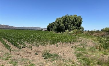 Parcela en Venta en Parcela 30 sector los Rulos