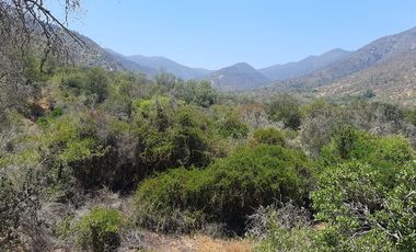 Parcela en Venta en CAMINO EL DIBUJO 100 , MELIPILLA