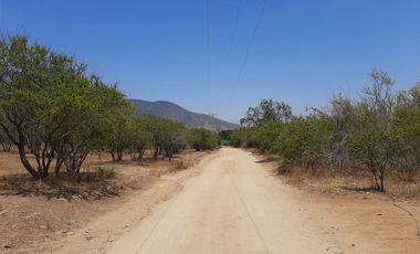 Parcela en Venta en CAMINO EL DIBUJO 100 , MELIPILLA