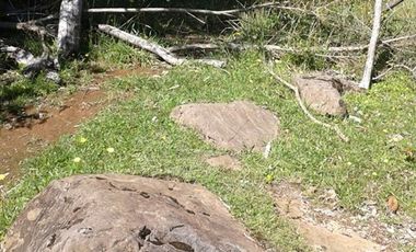 Agrícola en Venta en Lago Ranco